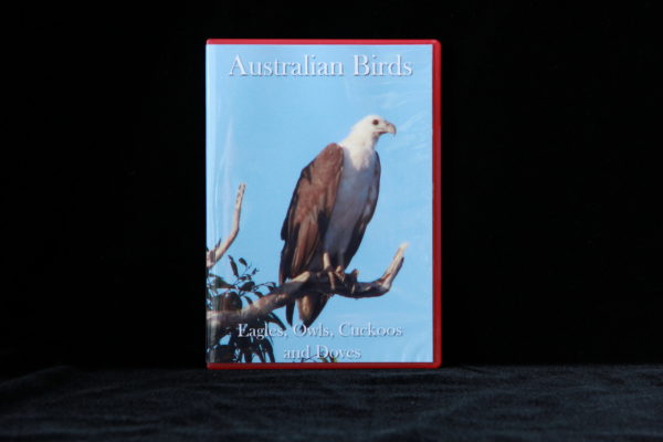 Australian Birds DVD Eagles, Owls, Cuckoos and Doves