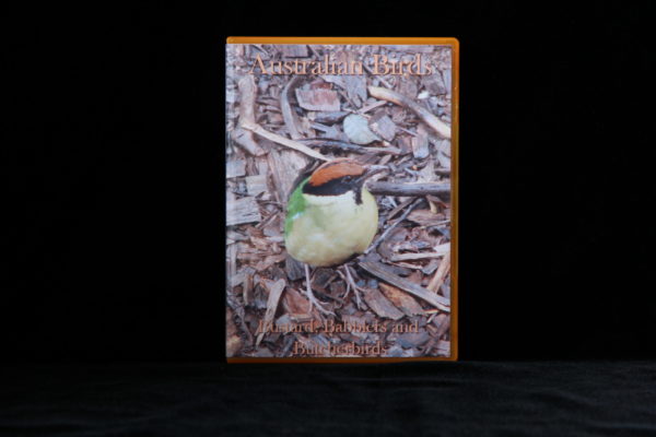 Australian Birds DVD Bustards, Babblers and Butcherbirds