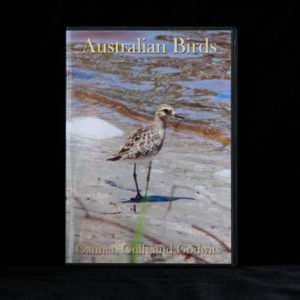 Australian Birds DVD Gannet, Gulls and Godwins